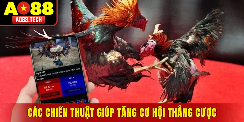 Các chiến thuật giúp tăng cơ hội thắng cược